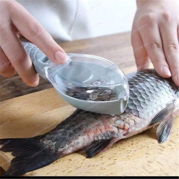 Popolare artefatto raschiante  - Kitchen Gadgets Popular recensione e prezzo