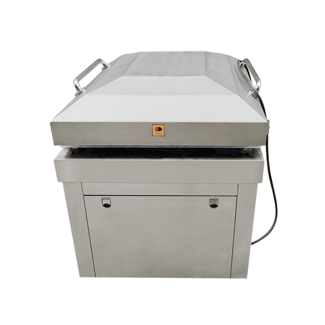 Confezionatrice Automatica DZ- - Food Vacuum Sealer recensione e prezzo