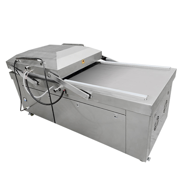 Confezionatrice Automatica DZ- - Food Vacuum Sealer recensione e prezzo