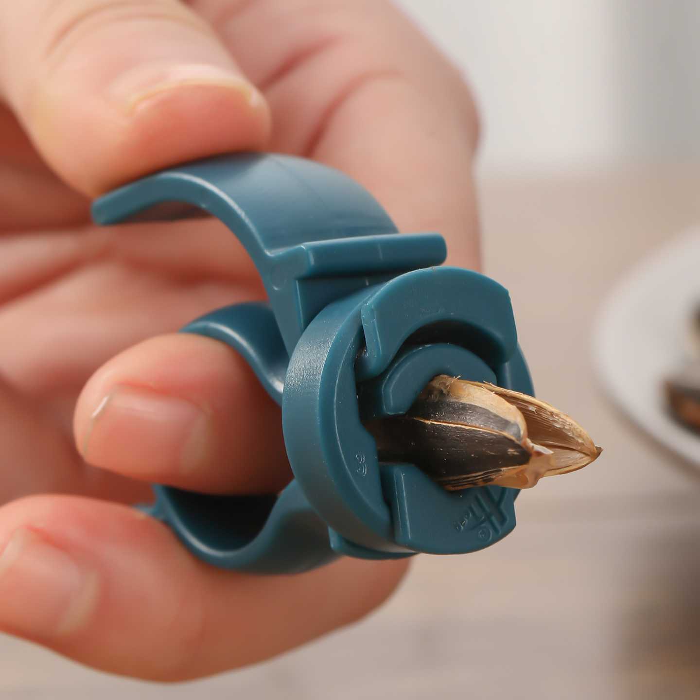 Set di 4 Schiaccianoci Creativ - Kitchen Gadgets You Must Have recensione e prezzo